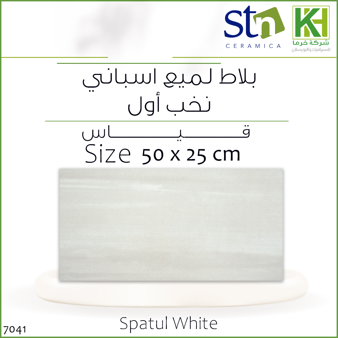 Picture of Spanish Glossy wall tiles, 50 x 25 cm , Spatul White